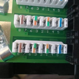 配线架按B类打法的详细操作指南
